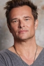 David Hallyday Film ve Dizileri