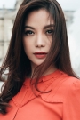 Trương Ngọc Ánh Film ve Dizileri