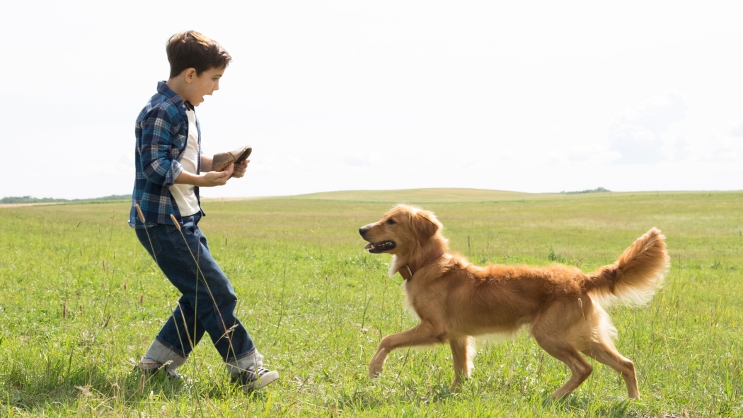 A Dog's Purpose - Can Dostum izle