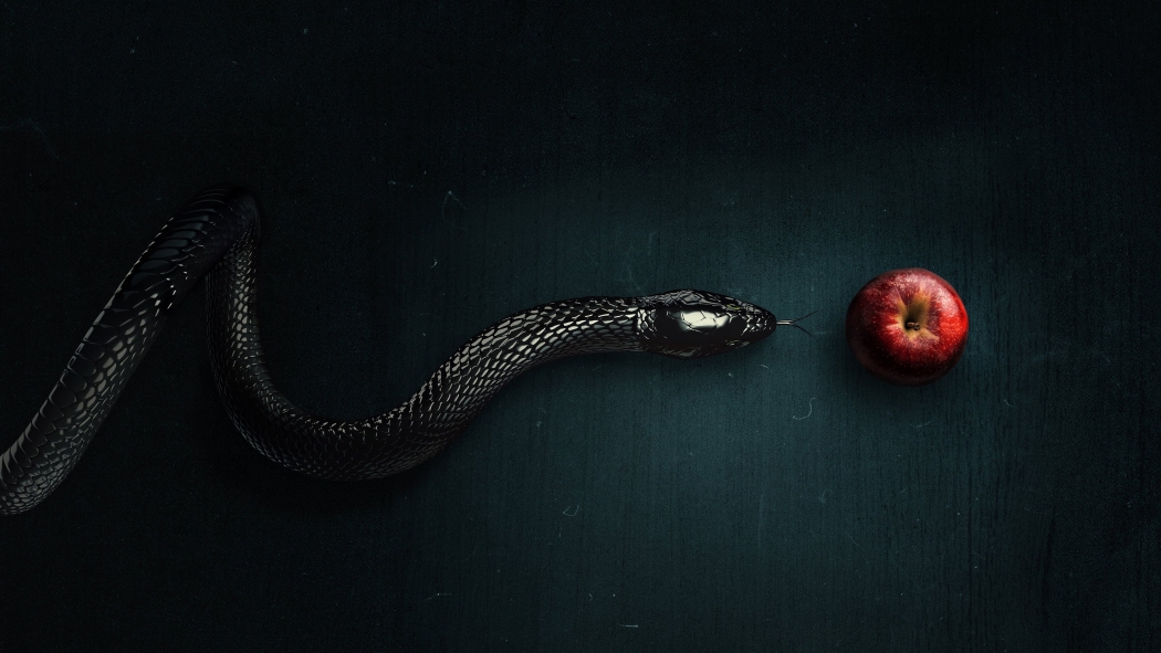 Evil 3. Sezon 9. Bölüm izle