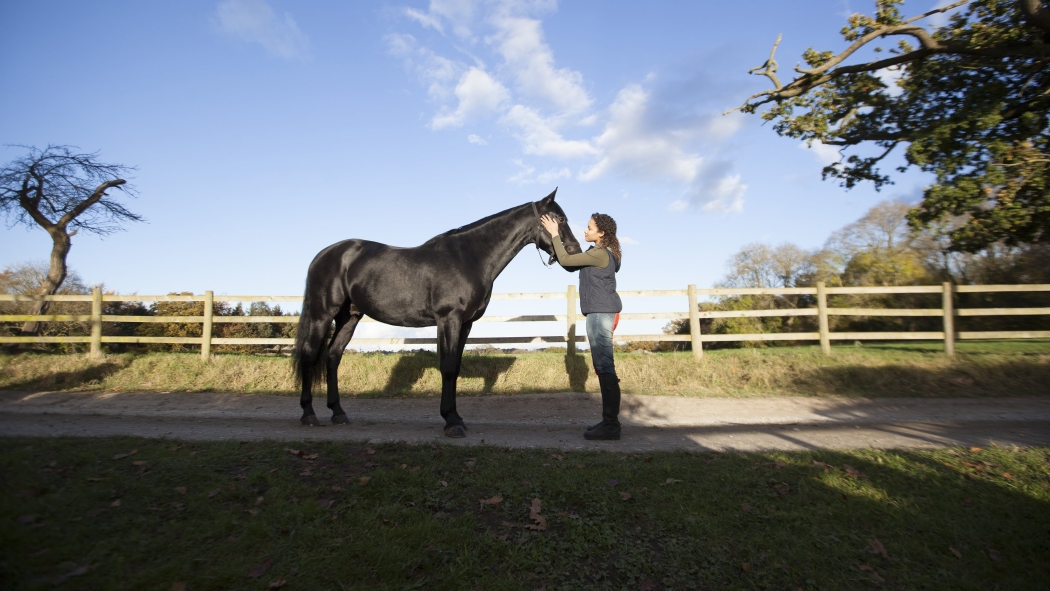 Kendini Özgür Bırak 3. Sezon 5. Bölüm izle