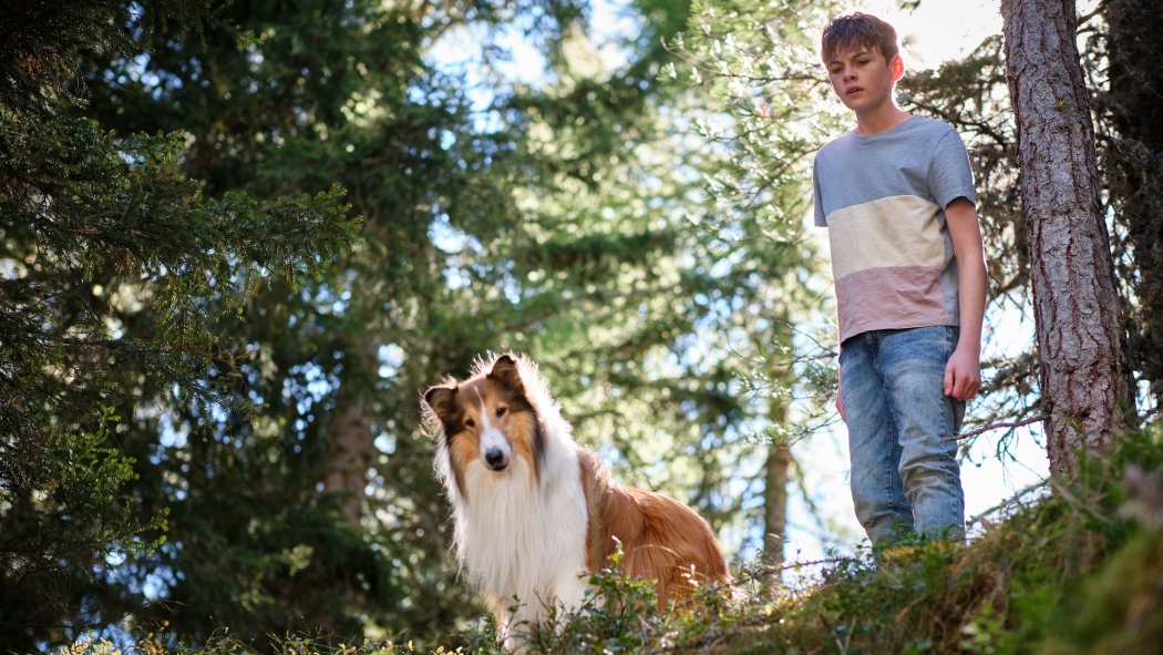 Lassie: Yepyeni Bir Macera izle