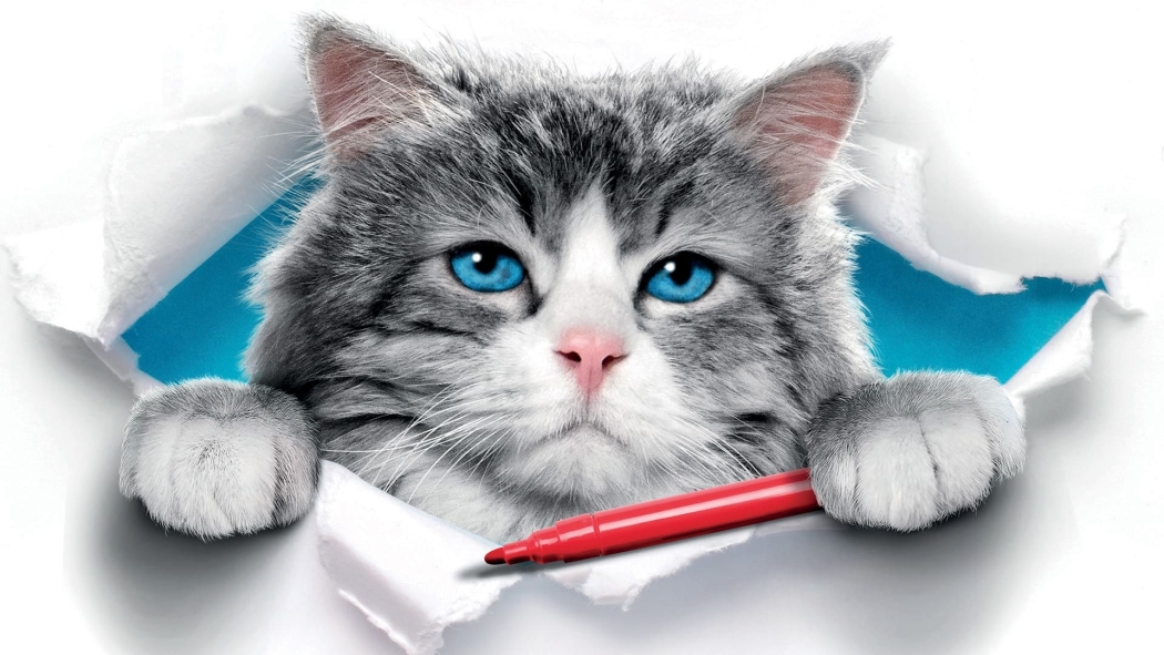 Benim Babam Bir Kedi izle