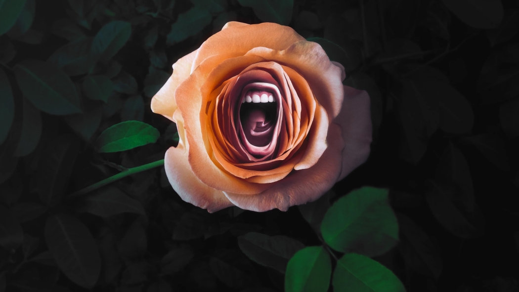 Roar 1. Sezon 8. Bölüm izle