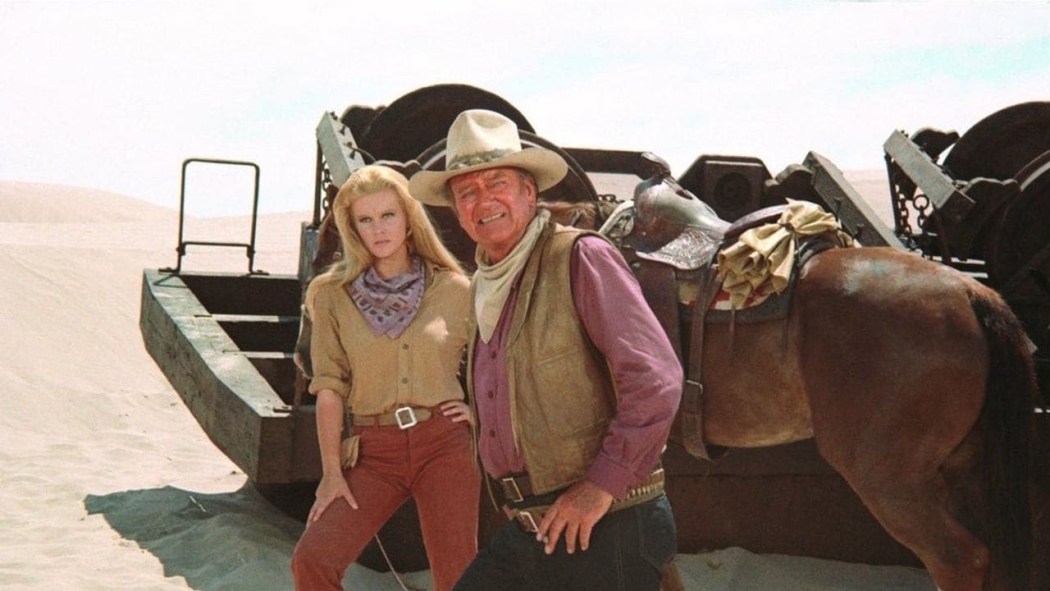 The Train Robbers (1973) izle